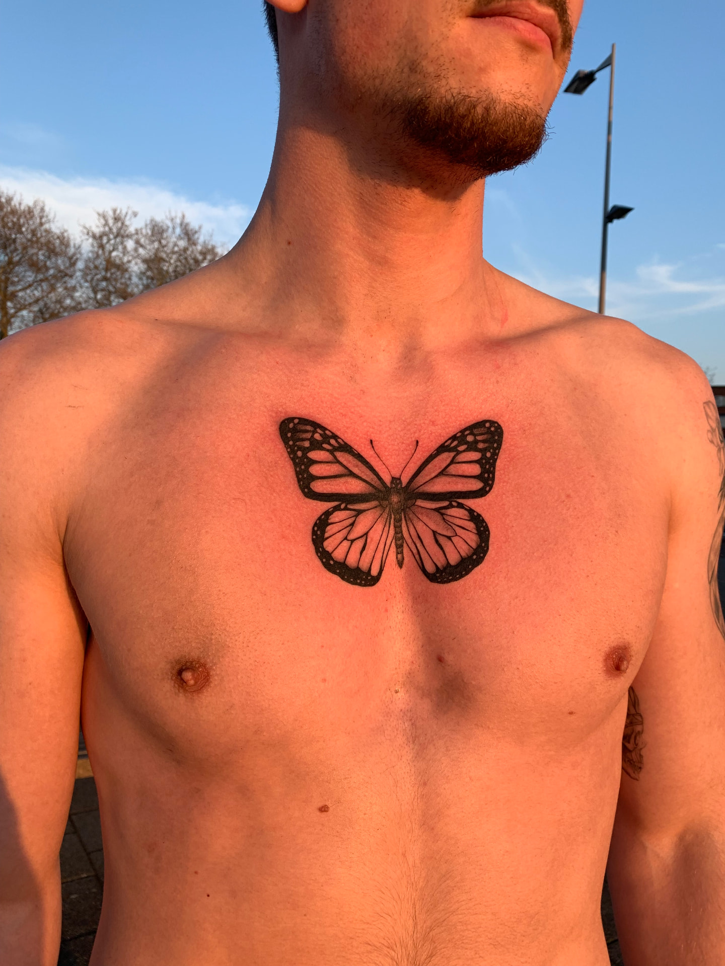 Bold butterfly chest tattoo photographed at golden hour