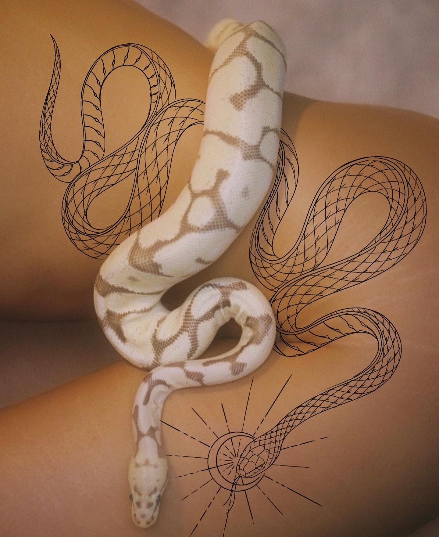 White python coiled on skin with fine line snake tattoo artwork overlay